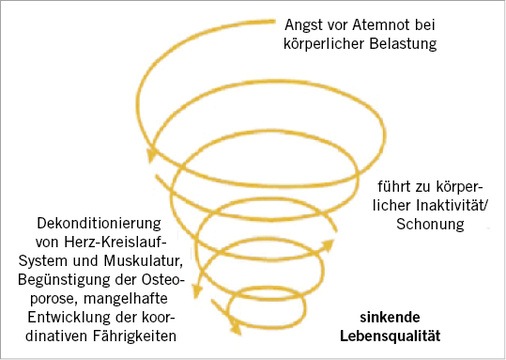
 Abb. 2: 
 Abnahme der körperlichen Leistungsfähigkeit und damit der Lebensqualität bei Silikose-Patienten
