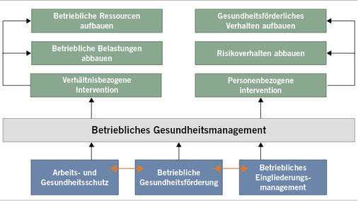 
 Abb. 2: 
 Handlungsfelder des Modellvorhabens (Quelle: BARMER)
