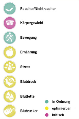 
 Abb. 1: 
 Die acht Gesundheitsfaktoren
