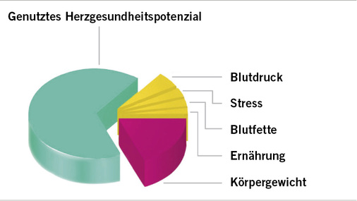 
 Abb. 2: 
 Einschätzung der Ausgangssituation

