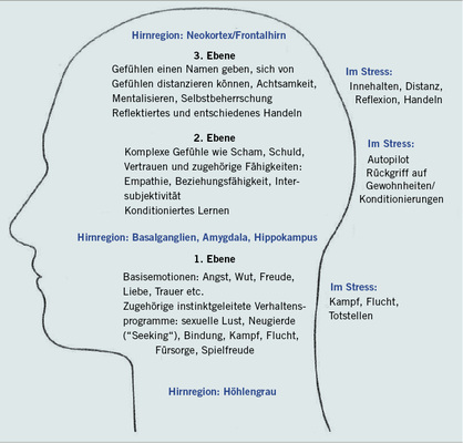 
 Abb. 1: 
 Die drei Entwicklungsstufen von Gehirnaufbau, Emotionsentwicklung und Stressreaktion (Quelle: Unger u. Kleinschmidt 2014, nach Panksepp)
