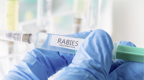 
Die zahlreichen durch Betriebsärzte veranlassten Tollwutimpfungen entsprechen nicht dem beruflichen Expositionsrisiko, dem Beschäftigte derzeitig in Deutschland ausgesetzt sind



