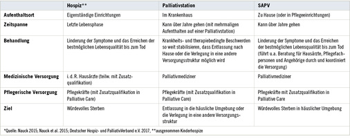 <p>
<span class="GVSpitzmarke"> Tabelle 2: </span>
 Strukturmerkmale und Ziele der spezialisierten Palliativversorgung*
</p>

<p class="GVBildunterschriftEnglisch">
</p>