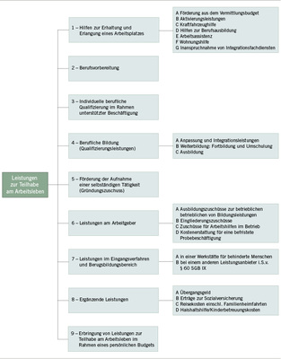 
 Abb. 2: 
 Übersicht über das Gesamtspektrum der Leistungen zur Teilhabe am Arbeitsleben, die von der Deutschen Rentenversicherung erbracht werden (Quelle: Deutsche Rentenversicherung Bund 2009, S. 16)
