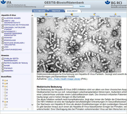 <p>
<span class="GVSpitzmarke"> Abb. 3: </span>
 Ausschnitt aus einem Biostoffdatenblatt mit erweiterten Informationen (Hepatitis‑B‑Virus)
</p>