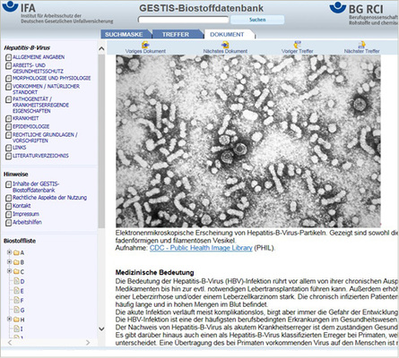 
 Abb. 3: 
 Ausschnitt aus einem Biostoffdatenblatt mit erweiterten Informationen (Hepatitis‑B‑Virus)
