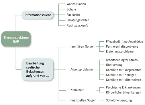 
 Abb. 1: 
 Mögliche Themen im EAP (nach Schulte-Meßtorff u. Wehr 2013)
