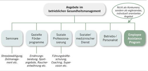 
 Abb. 2: 
 Eingliederung EAP im betrieblichen Gesundheitsmanagement (nach Schulte-Meßtorff u. Wehr 2013)
