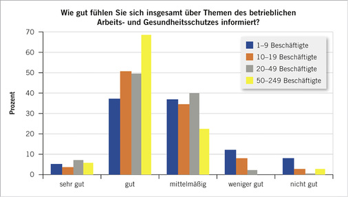 
 Abb. 4: 
 Selbsteingeschätzter Kenntnisstand der Befragten nach Betriebsgröße



