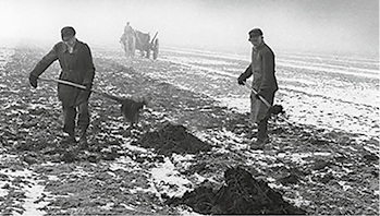 <p>
Januar – Landwirtschaft 1948
</p>

<p>
Feldarbeiter in Schleswig-Holstein beim Ausbringen von Mist als Düngung
</p>

<p>
Foto: Vintage Germany / Scheerer
</p>