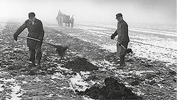 
Januar – Landwirtschaft 1948



Feldarbeiter in Schleswig-Holstein beim Ausbringen von Mist als Düngung



Foto: Vintage Germany / Scheerer
