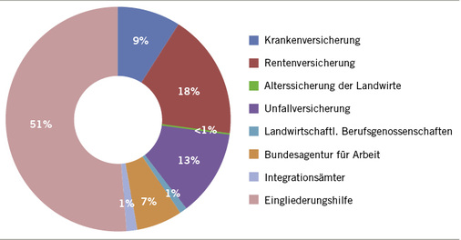 
 Abb. 3: 
 Ausgabenverhältnis der Rehabilitationsträger 2017. Quelle: Bundesarbeitsgemeinschaft für Rehabilitation e.V. (BAR), Reha-Info 1/2019, Seite III
