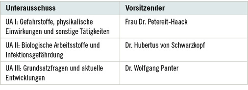 
 Tabelle 2: 
 Unterausschüsse des AfAMed
