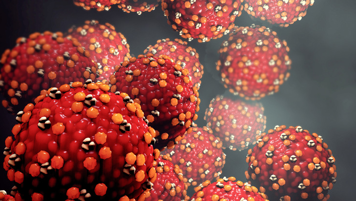 In Deutschland ist es bisher nicht gelungen, das Masernvirus zu eliminieren