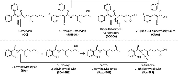 Abb. 1:   Biomarker von Octocrylen (OC) und 2-Ethylhexylsalicylat (EHS). Schematische Darstellung der metabolischen Pfade. Die gezeigten ­Metaboliten liegen im Urin z.T. an Glucuronsäure gebunden vor
 
 Fig. 1: Biomarkers of octocrylene (OC) and 2-ethylhexyl salicylate (EHS). Schematic metabolic pathways are shown. The depicted metabolites are in part present in urine as their respective glucuronic acid conjugates