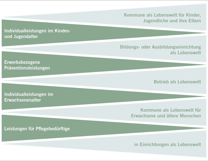 Abb. 1:   Präventive Leistungen und Betätigungsfelder der Träger (eigene Darstellung)