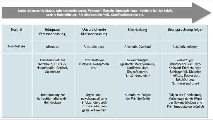 Abb. 1:   Stressregulierende Prozesse auf dem Weg zu Beanspruchungsfolgen