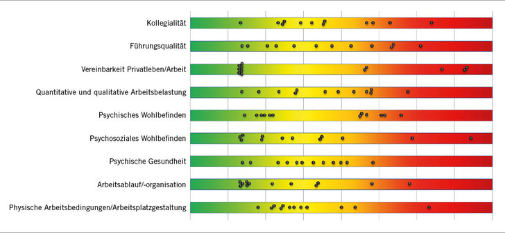 Abb. 1:   Gesamtübersicht der Ergebnisse der Netzwerkfirmen, nach Themengebieten (eigene Darstellung)