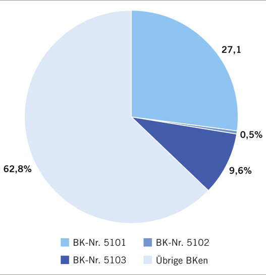  Abb. 1:    Anteil der BK-Gruppe 5 an den Verdachtsanzeigen 2018 (Quelle: Geschäfts- und Rechnungsergebnisse der gewerblichen Berufsgenossenschaften und Unfallversicherungsträger der öffentlichen Hand)