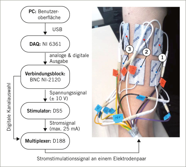 Abb. 1:   Schema des experimentellen Aufbaus. Links: Blockdiagramm des Stimulationssetups. Rechts: Beispiel der Elektroden am oberen Arm (Elektrodenpaare 1 bis 3 der Größe 25 × 40 mm sind sichtbar). Detaillierte Erklärungen sind im Text zu finden
 
 Fig. 1: Schematic of experimental setup. Left: Block diagram of the stimulation setup. Right: Example of electrodes at the upper arm (electrode pairs 1–3 of size 25 × 40 mm are visible). See text for detailed explanation