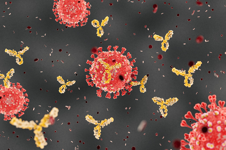 Plasma cell producing antibodies, attacking coronavirus. Blood plasma from full recovered patients can cure covid 19 desease.