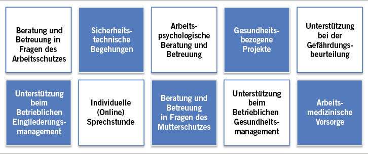  Abb. 1:   Unterstützungsangebot des AMIS-Bayern