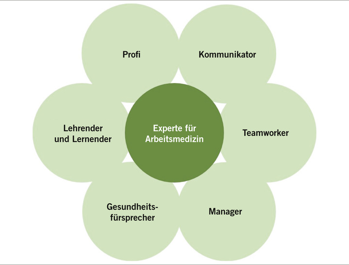 Abb. 1:   Rollenmodell Arbeitsmediziner (nach: Royal College of Physicians and Surgeons of Canada – CanMEDS)