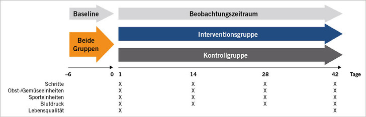 Abb. 1:   Studiendesign
 Fig. 1: Study design