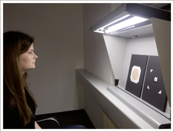 Abb. 1:    Probandin in 75 cm Abstand vor den Ishihara-Tafeln unter Normlichtbedingungen 
 Fig. 1: Test subject at a distance of 75 cm from the Ishihara tablets under standard lighting conditions