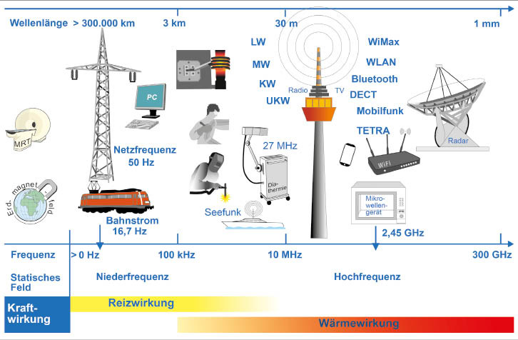 Abb. 1:   Spektrum EMFV (Quelle: BAuA)