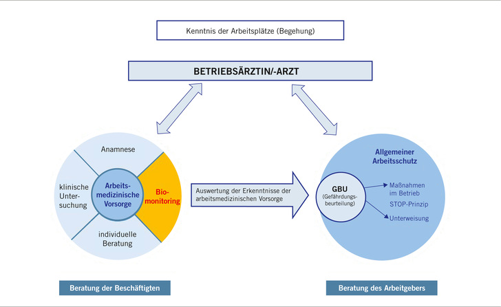 Abb. 1:    Zentrale Rolle des Betriebsarztes (eigene Darstellung)