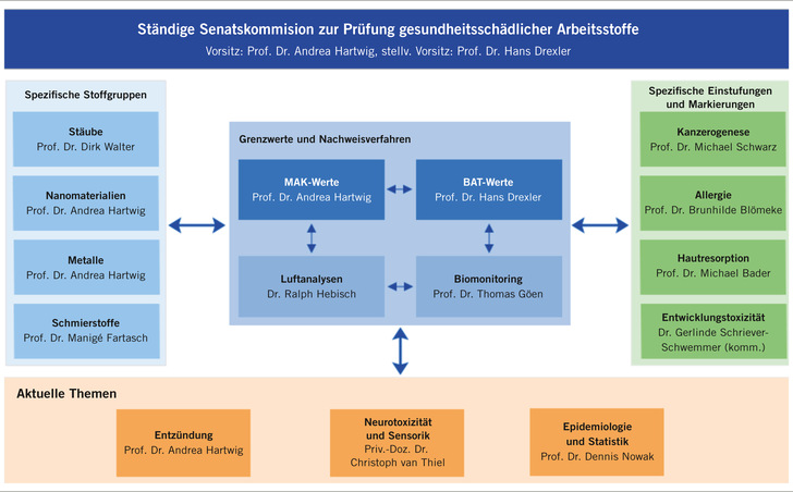 Abb. 1:    Struktur der DFG-Senatskommission zur Prüfung gesundheitsschädlicher Arbeitsstoffe (Quelle:  https://www.dfg.de/dfg_profil/gremien/senat/arbeitsstoffe/aufbau/index.html)