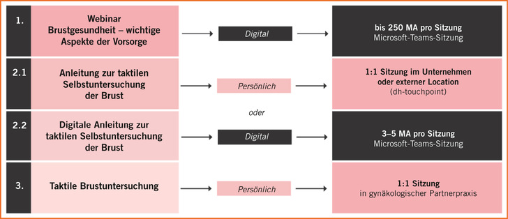 Gesundheitsfördernde Maßnahmen von  discovering hands  im Überblick