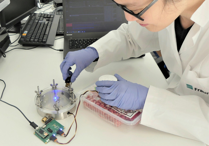 Messung der Änderungen in der Gaszusammensetzung einer Hackfleisch-Verpackung mit Sensorsystemen