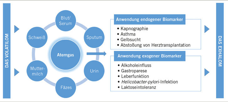 Abb. 1:   Biologische Medien zur Bestimmung des Volatiloms sowie für Atemgastests genutzte endogene/exogene Biomarker in der Ausatemluft als Bestandteile des Exhaloms