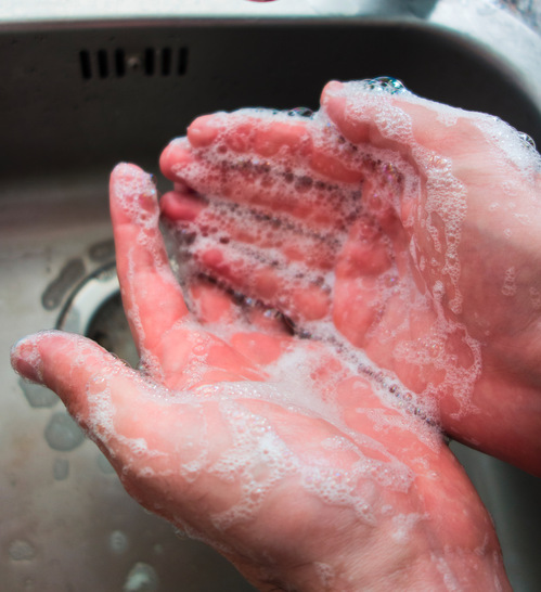 Bei der Reinigung der Hände sollte die Handwaschfrequenz auf das notwendige Minimum reduziert werden (sichtbare Verschmutzung, Entfernen von Proteinen, nach Toilettengängen) - © Foto:  ©  oxie99-stock.adobe.com
