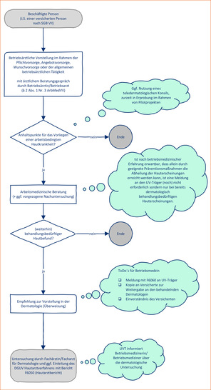  Abb. 1:   Arbeitsbedingte Hautkrankheiten der BK-Nr. 5101 (Meldungen an den UV-Träger in der ­betriebsärztlichen Praxis)