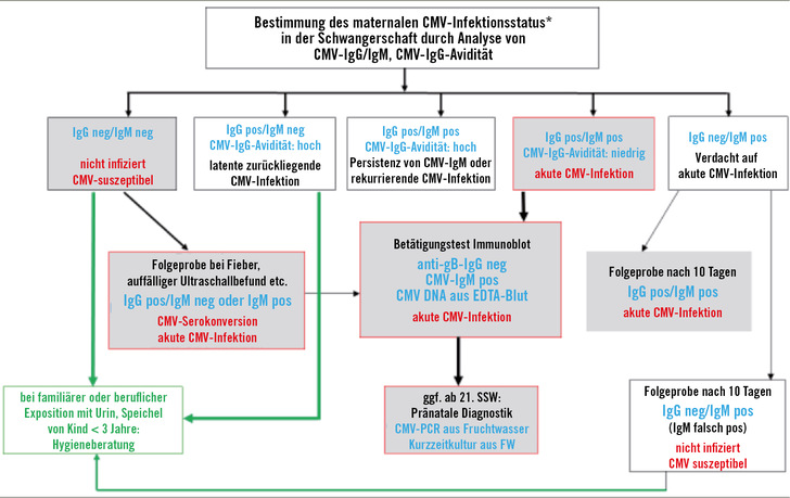 Abb. 1:   Diagnostischer Algorithmus zur Abklärung des CMV-Infektionsstatus in der Schwangerschaft bei Verdacht auf CMV-Primärinfektion. Blaue Schrift: Ergebniskonstellation, rote Schrift: Interpretation, grün: Maßnahmen; rote Umrandung: weitere Abklärung erforderlich. *Hinweis: Die Erhebung des CMV-Infektionsstatus zu Schwangerschaftsbeginn erfolgt durch die Bestimmung von CMV-IgG und CMV-IgM (aus AWMF-Leitlinie 093-001 „Labordiagnostik schwangerschaftsrelevanter Virusinfektionen“, Modrow et al. 2022)