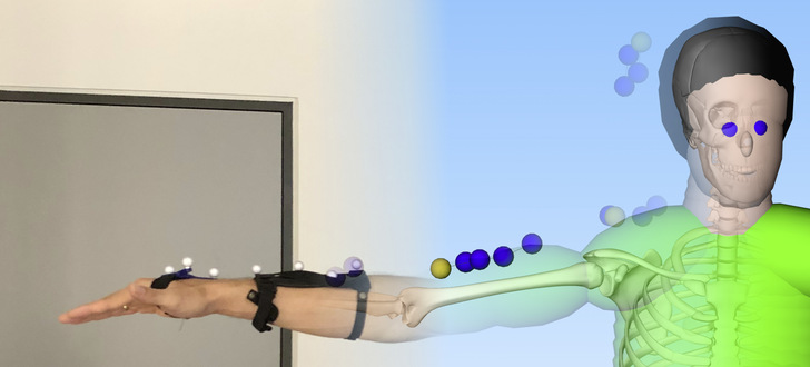  Abb. 1:   Dynamicus Menschmodell (eigene Darstellung)