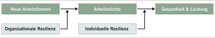 Abb. 1:    Resilienz im Prozessmodell der Arbeitsdichte