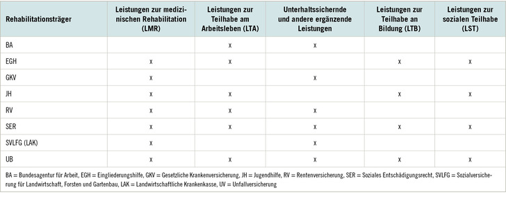 Tabelle 1:   Leistungen der Rehabilitationsträger zur beruflichen Rehabilitation (Quelle: BAR e.V. 2021)