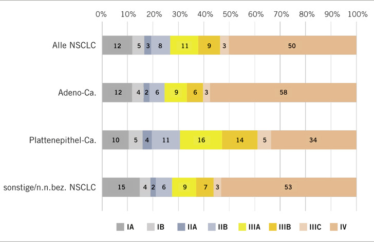 Abb. 1:   Relative Verteilung von Stadien und Histologie bei Erstdiagnose nicht-kleinzelliger Lungenkarzinome (NSCLC). Deutschland, 2017–2019 (nach Griesinger et al. 2022, Quelle: Onkopedia)