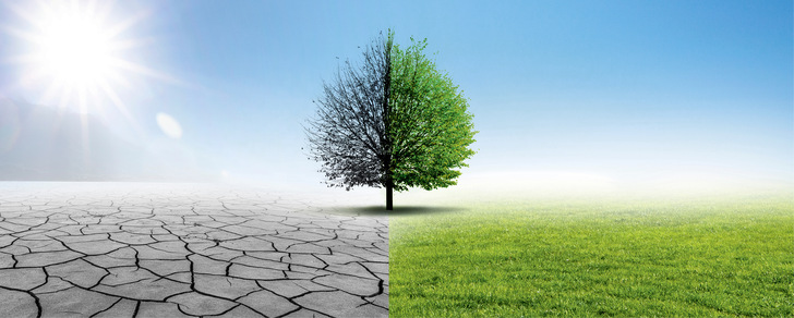Der Klimawandel führt zu einer Zunahme vom Wetter- und Klimaextremen, wie Hitzewellen, Dürreperioden, Starkniederschlägen und verstärkten 
Auswirkungen der natürlichen UV-Strahlung