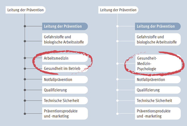 Abb. 1:   Organisationsstruktur