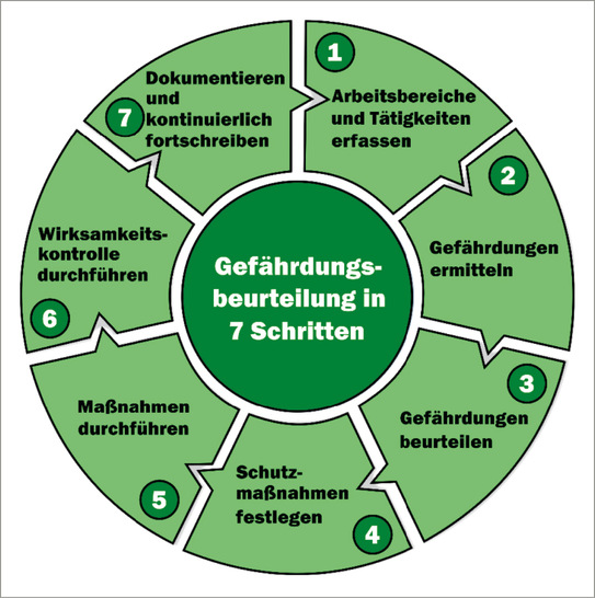 Abb. 1:   Sieben Schritte der Gefährdungsbeurteilung
 
 Fig. 1: Seven steps of risk assessment