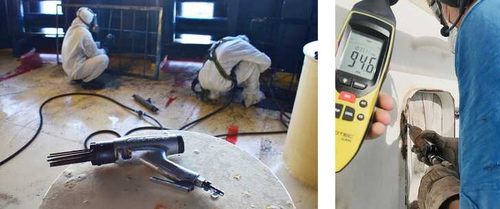 Abb. 1a,b:   Nadelentroster: 
  a  Einsatz auf Kreuzfahrt- und 
  b  Forschungsschiff