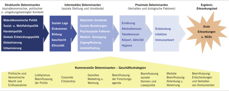 Abb. 1:    Einflussfaktoren hinsichtlich der Mundgesundheit (nach Peres et al. 2019). NCDs: Non-communicable Diseases (nicht übertragbare Krankheiten)