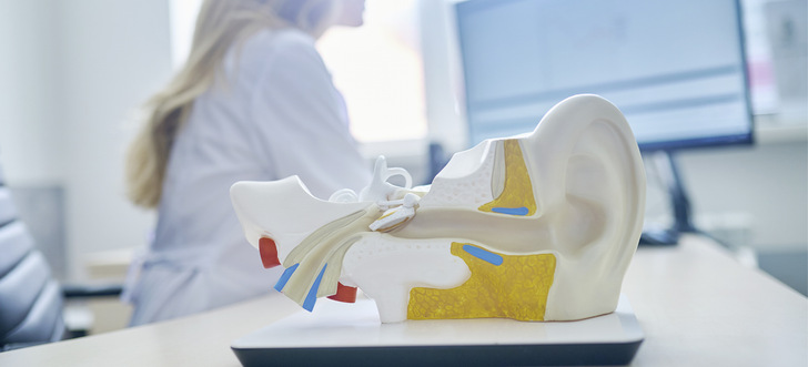 Die beratungsärztliche Tätigkeit umfasst praktisch den gesamten medizinischen Kontext der Lärmschwerhörigkeit von der Verdachtsmeldung 
bis zur Rehabilitation