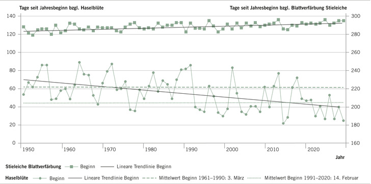 Abb. 1:   Blühbeginn Hasel und Blattverfärbung Stieleiche seit 1951 als Indikatoren für den Start und das Ende der Vegetationsperiode. Veränderungen über die Zeit lassen sich an der eingefügten Trendlinie erkennen (Quelle: Deutscher Wetterdienst 2023)
