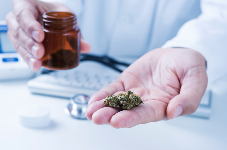 Das Cannabisgesetz wird für viele Arbeitsmedizinerinnen und -mediziner in beratungstechnischer Hinsicht eine Herausforderung darstellen. - © Foto:  ©  nito-stock.adobe.com
